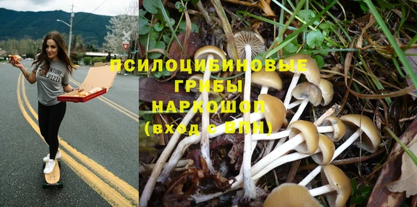 МДПВ Волоколамск